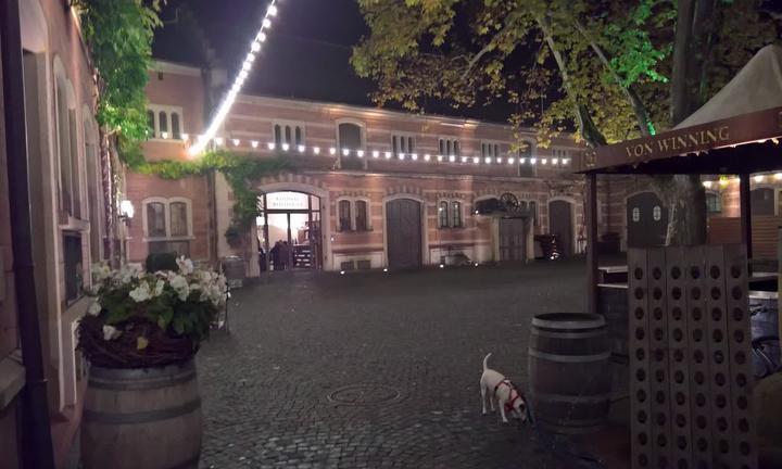 Restaurant im Weingut Heitlinger